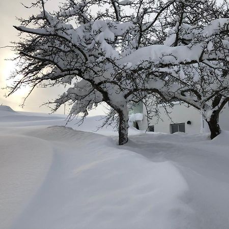 Ferienwohnung Allgaeuliebe In Oy-Mittelberg Exteriör bild