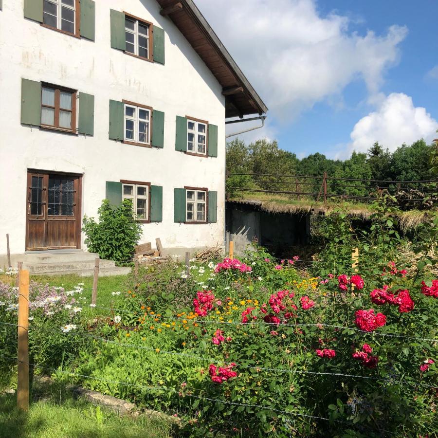 Ferienwohnung Allgaeuliebe In Oy-Mittelberg Exteriör bild