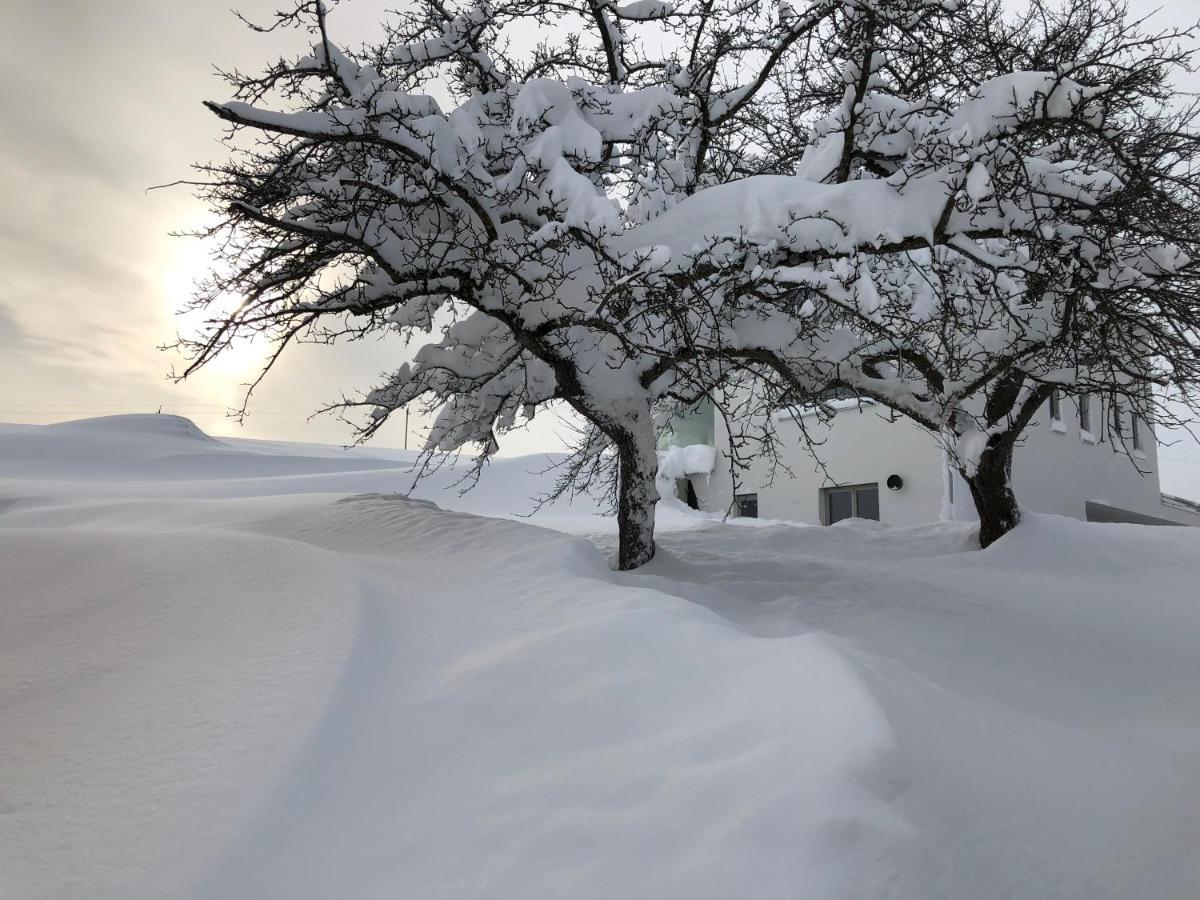 Ferienwohnung Allgaeuliebe In Oy-Mittelberg Exteriör bild
